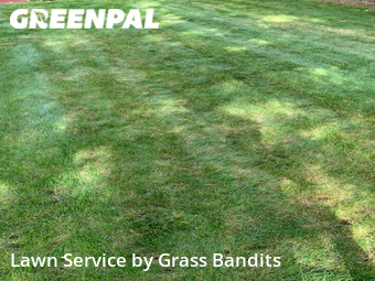 Yard Mowing nearby Billings, MT, 