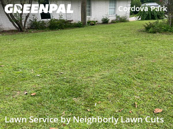 Yard Cutting nearby Pensacola, GA, 