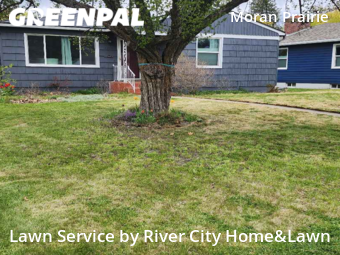 Yard Cutting nearby Spokane, WA, 