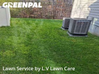 Yard Cutting nearby Woodbridge, VA, 