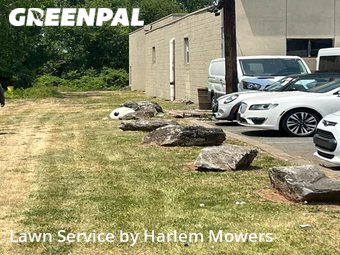Lawn Service nearby Carlstadt, NY, 