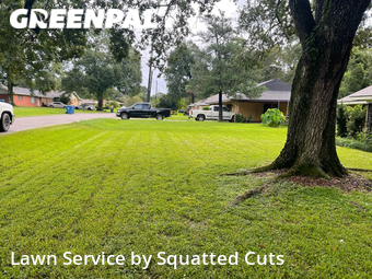 Lawn Mow nearby Lafayette, LA, 