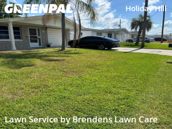 Lawn Service nearby Port Richey, FL, 
