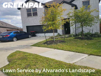 Lawn Mowing Servicein Humble,77346,Lawn Cutting by Alvarado's Landscape, work completed in Nov , 2025