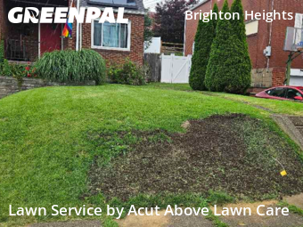 Grass Cut nearby Pittsburgh, PA, 