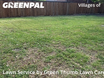 Grass Cut nearby Frisco, TX, 