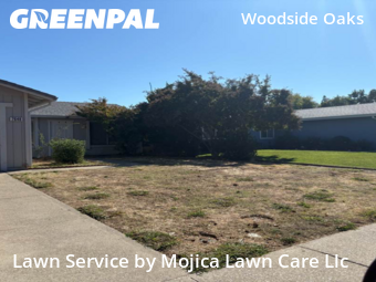 Work completed by lawn-care-experts-near-me-in-Citrus Heights-CA
