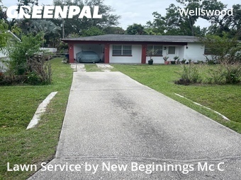 Lawn Carein Tampa,33603,Grass Cutting by New Begininngs Mc C, work completed in Jun , 2026