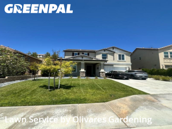 grass-care-professionals-in-Paramount-CA