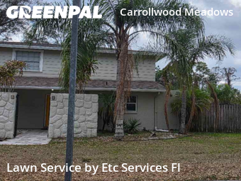 Lawn Cutin Tampa,33625,Grass Cut by Etc Services Fl, work completed in Feb , 2026