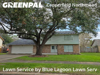 Lawn mowed in Houston, 77095