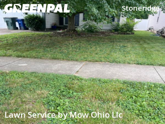 Lawn Mow nearby Grove City, OH, 
