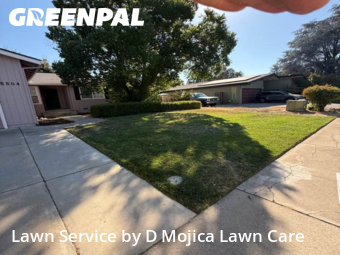 Work completed by lawn-mowing-quotes-in-Elk Grove-CA