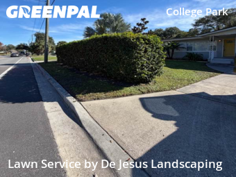 Lawn Cutting nearby Orlando, FL, 