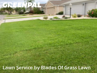 Lawn Care Service nearby Wildwood, FL, 