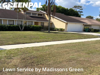 Yard Work in Wellington, 33414, Property Maintenance by Madissons Green, work completed in Nov , 2025