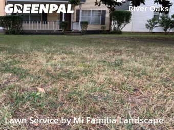 Yard Management in Norfolk, 23502, Grass Care by Mi Familia Landscape, work completed in Nov , 2025
