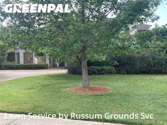 Lawn Mow nearby Brandon, MS, 