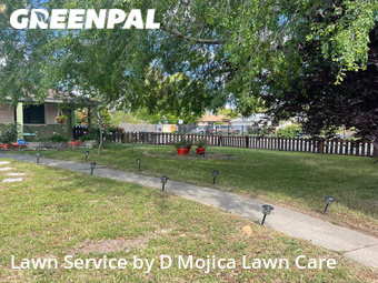 Grass Cut nearby Sacramento, CA, 