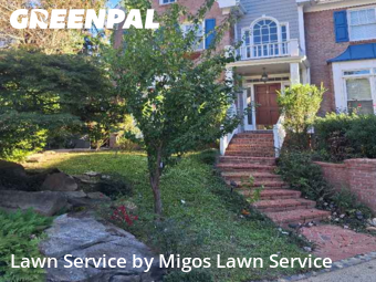 Lawn Maintenancein Atlanta,30324,Grass Cut by Migos Lawn Service, work completed in Dec , 2025