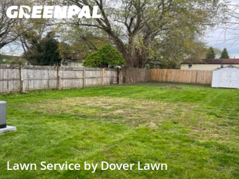 Grass Cut nearby Dover, DE, 