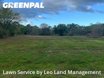 Lawn Care nearby Lakeland, FL, 