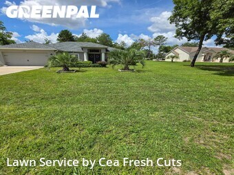 Grass Cut nearby Ocala, FL, 