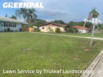 Grass Cut nearby Bradenton, FL, 