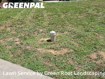 Lawn Care nearby Charlotte, NC, 