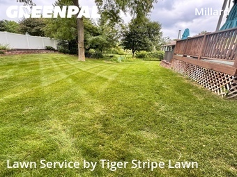 Yard Cutting nearby Omaha, NE, 