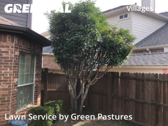 Grass Cut nearby Fort Worth, TX, 