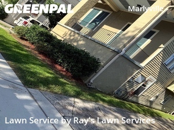 Landscaping Installation New Orleans,70125,Landscaping Cleanup by Ray's Lawn Services, work completed in Jun , 2026