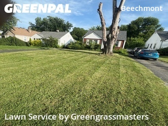 Lawn Cut nearby Louisville, KY, 