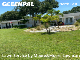 Grass Cutting nearby St. Petersburg, FL, 