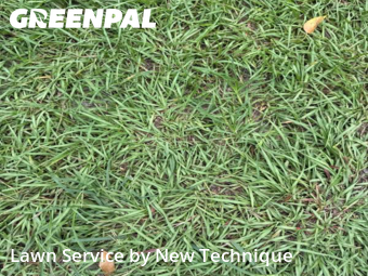 Lawn Care Service nearby Sanford, FL, 