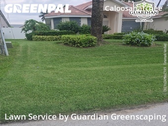 Lawn Mow nearby Cape Coral, FL, 