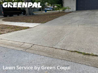 Lawn Cutting nearby Palm Harbor, FL, 