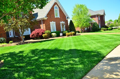 Local Lawn care service near me in Windsor, VA, 23487