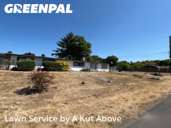 Lawn Cut nearby Sea Tac, WA, 