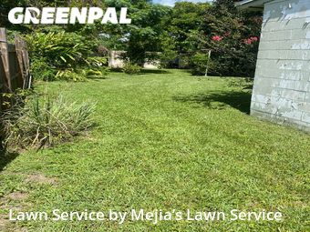 Grass Cut nearby Azalea Park, FL, 
