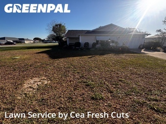 Lawn Mow nearby Ocala, FL, 