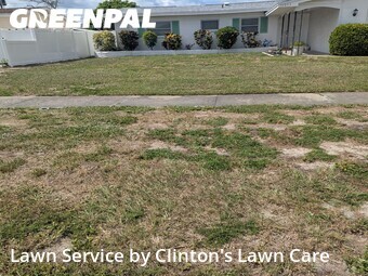 Yard Cutting nearby Seminole, FL, 