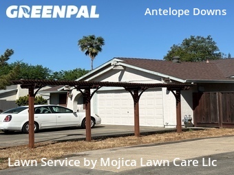 Lawn Mow nearby Citrus Heights, CA, 