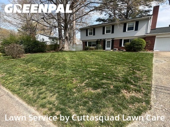 Lawn Cutting nearby Virginia Beach, VA, 