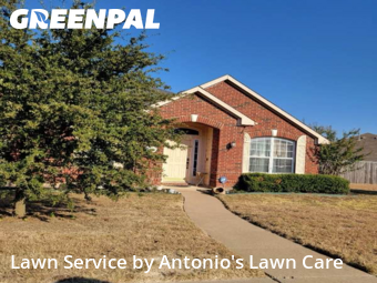 Turf Services in Cedar Hill, 75104, Turf Services by Antonio's Lawn Care, work completed in Nov , 2025