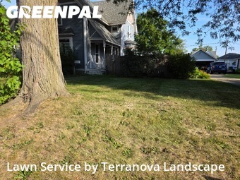 Lawn Cutin Elgin,60120,Yard Cutting by Terranova Landscape, work completed in Dec , 2025