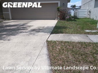 Lawn Cut nearby Riverview, FL, 