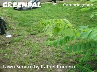 Lawn Maintenance nearby Cambridge, MA, 