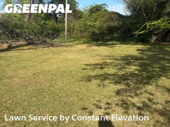 Yard Cutting nearby La Grange, NC, 