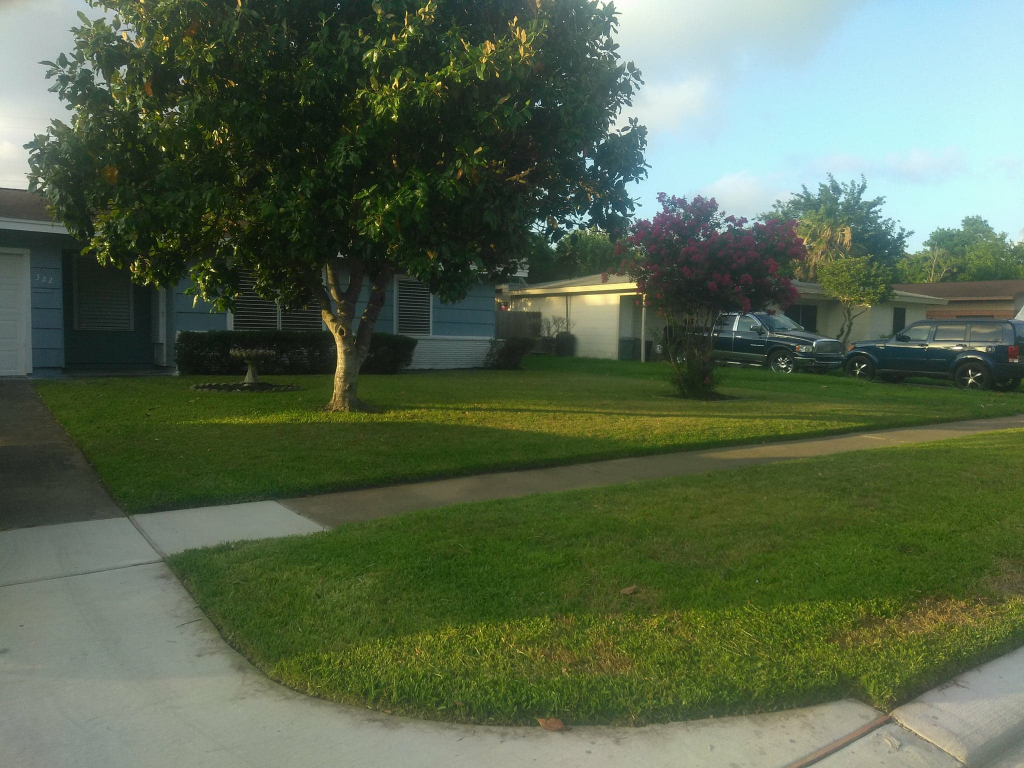 Cmc Residential Lawn Care Services in Dickinson, TX